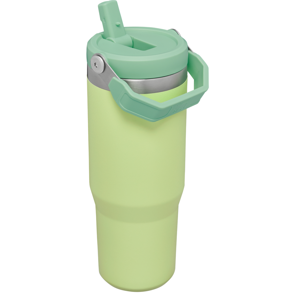 Stanley IceFlow Flip Straw 2.0 Tumbler 30 oz – Insulated Cold Water Bottle with Flip Straw Lid