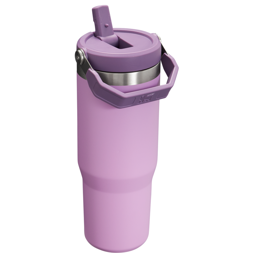 Stanley IceFlow Flip Straw 2.0 Tumbler 30 oz – Insulated Cold Water Bottle with Flip Straw Lid