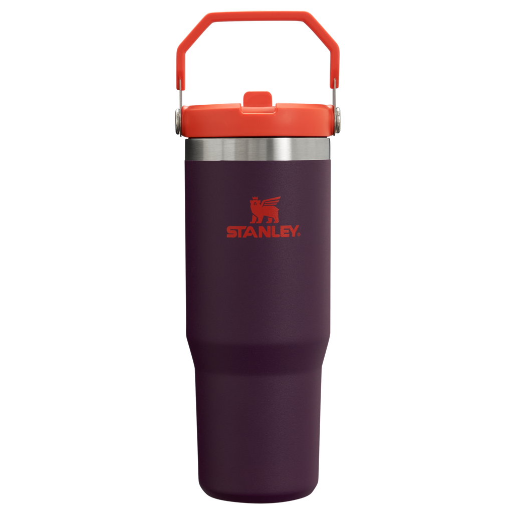 Stanley IceFlow Flip Straw 2.0 Tumbler 30 oz – Insulated Cold Water Bottle with Flip Straw Lid