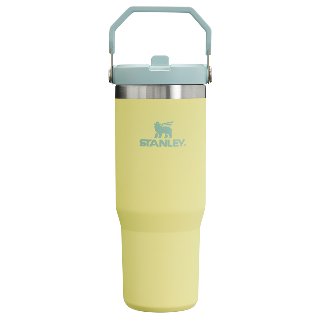 Stanley IceFlow Flip Straw 2.0 Tumbler 30 oz – Insulated Cold Water Bottle with Flip Straw Lid