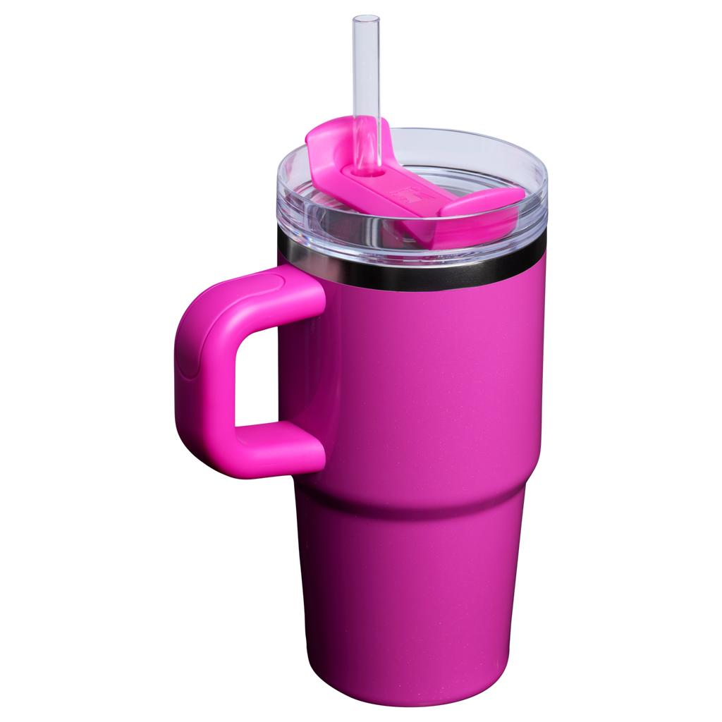 Stanley Quencher H2.0 FlowState Tumbler with Handle 20 oz – Insulated Travel Cup with Straw for Women