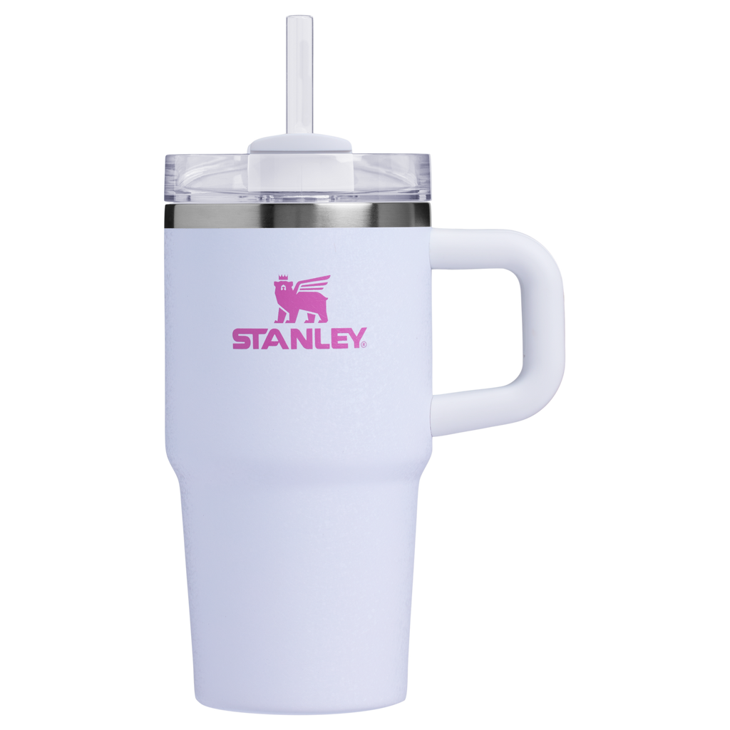 Stanley Quencher H2.0 FlowState Tumbler with Handle 20 oz – Insulated Travel Cup with Straw for Women