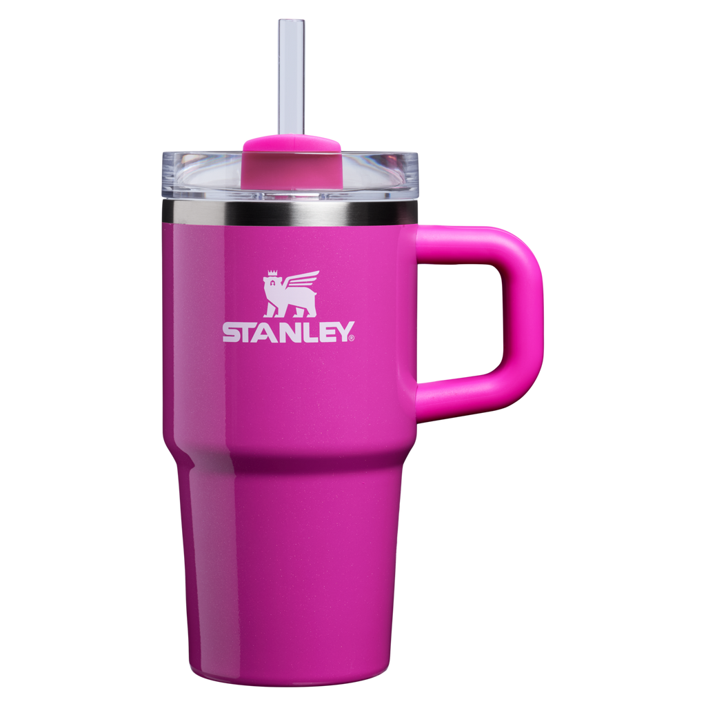 Stanley Quencher H2.0 FlowState Tumbler with Handle 20 oz – Insulated Travel Cup with Straw for Women