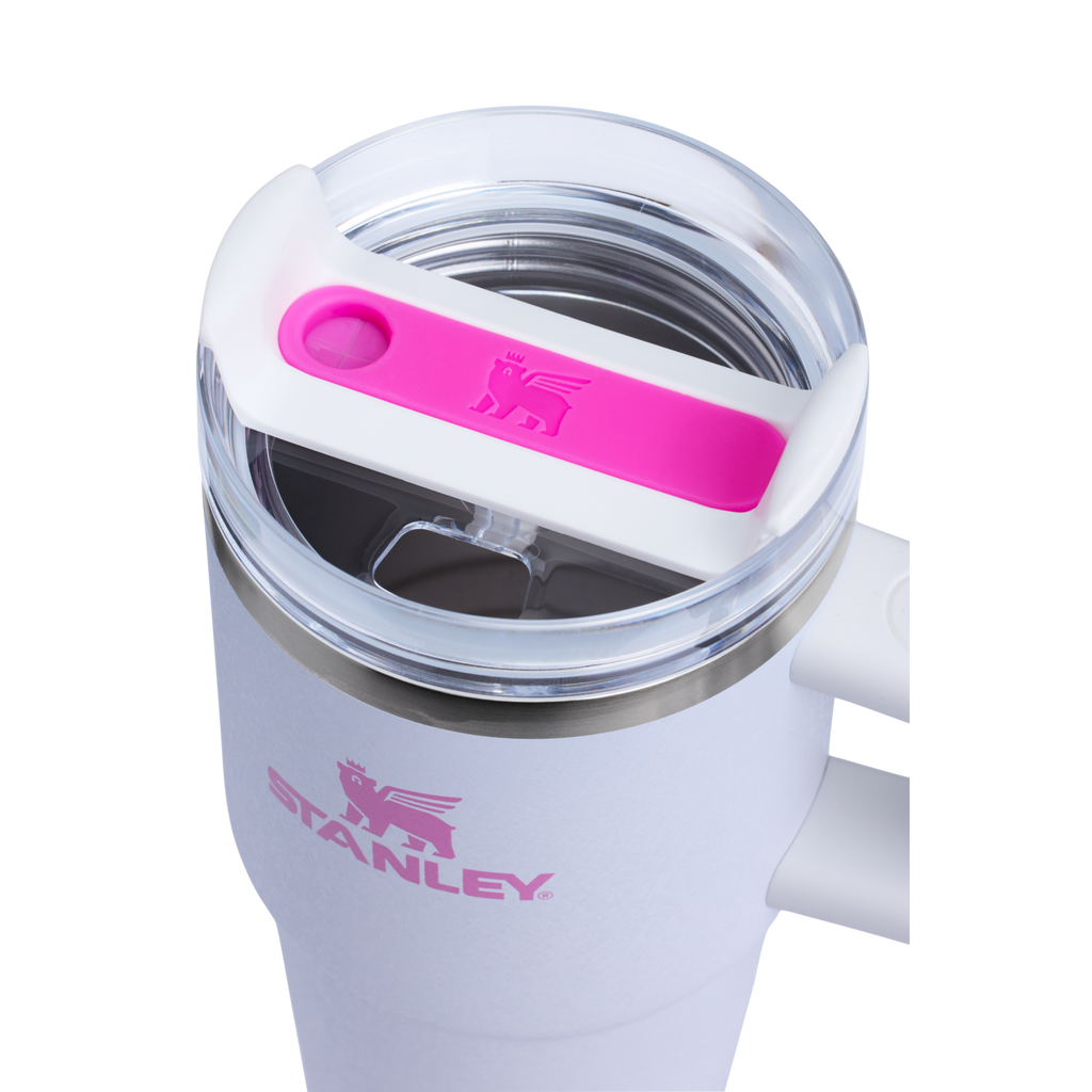 Stanley Quencher H2.0 FlowState Tumbler with Handle 20 oz – Insulated Travel Cup with Straw for Women
