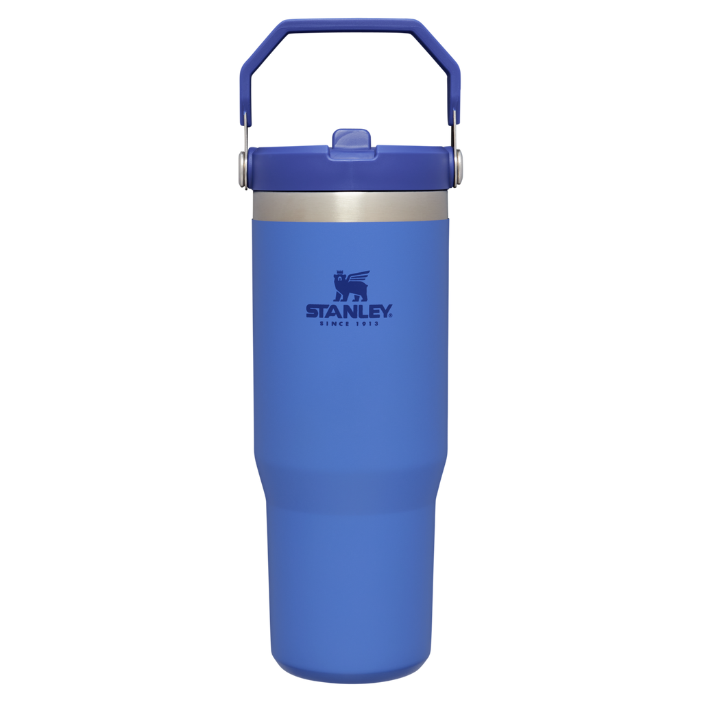 Stanley IceFlow Flip Straw 2.0 Tumbler 30 oz – Insulated Cold Water Bottle with Flip Straw Lid