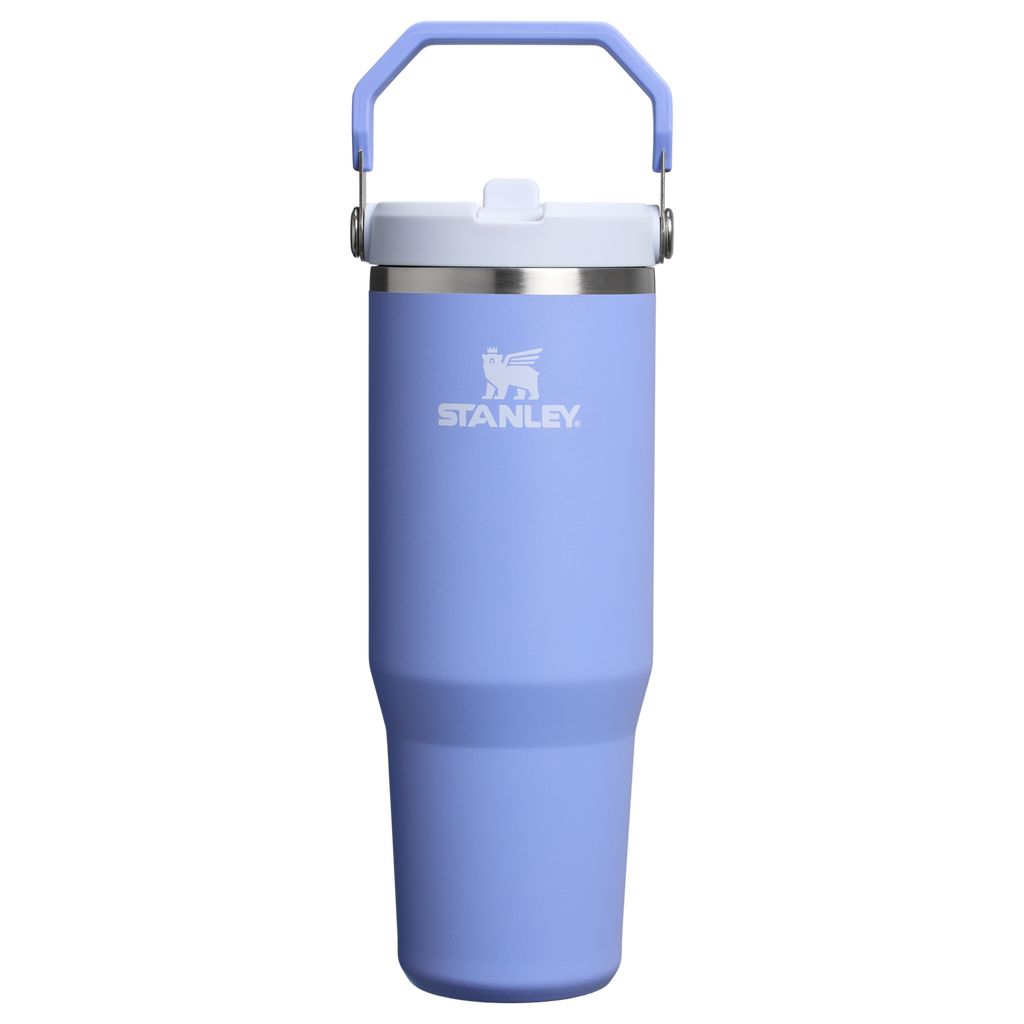 Stanley IceFlow Flip Straw 2.0 Tumbler 30 oz – Insulated Cold Water Bottle with Flip Straw Lid