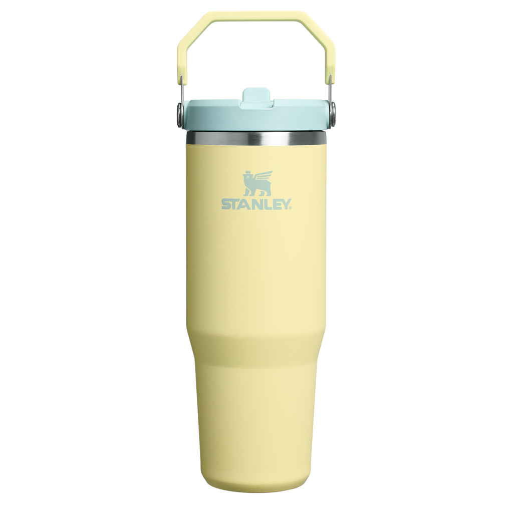 Stanley IceFlow Flip Straw 2.0 Tumbler 30 oz – Insulated Cold Water Bottle with Flip Straw Lid