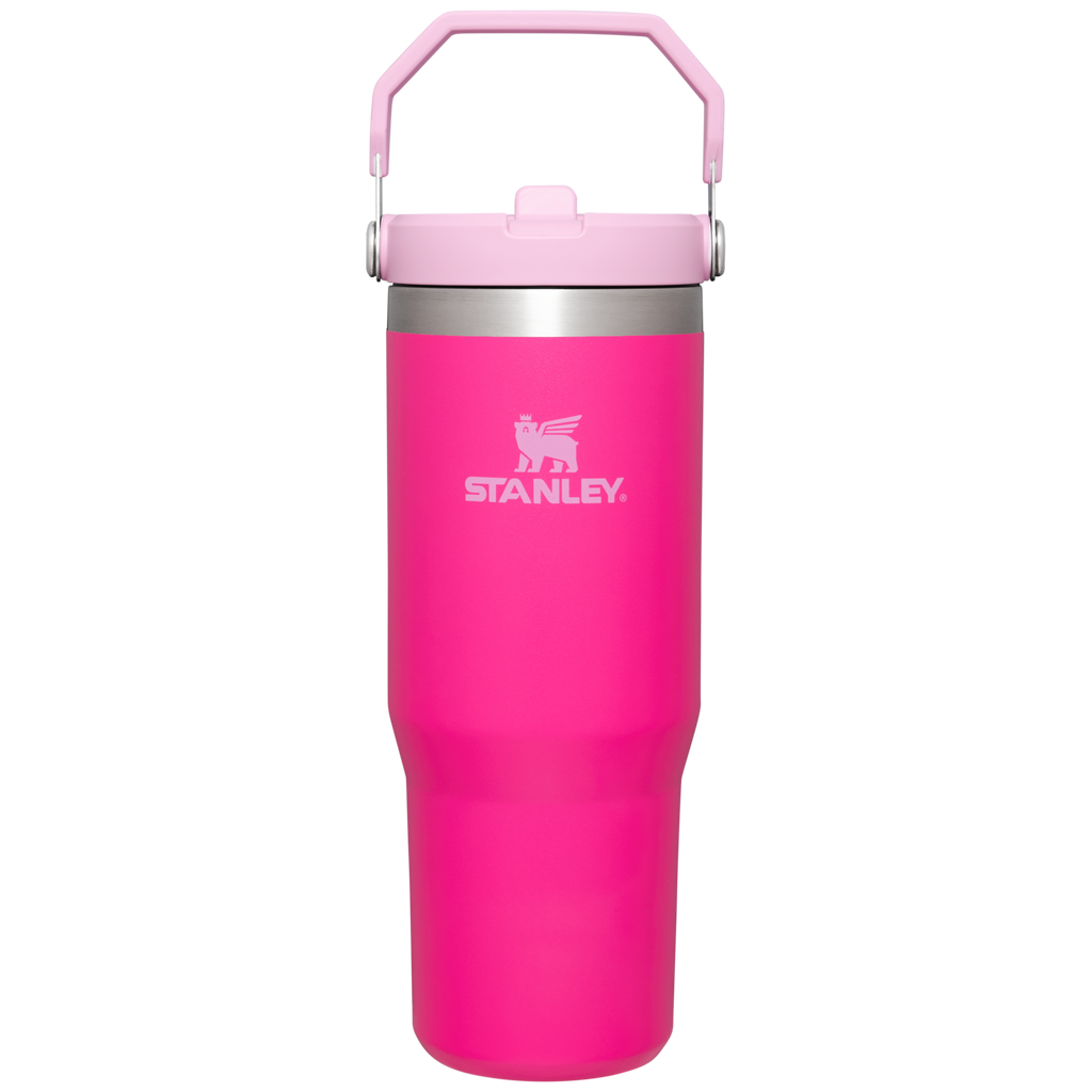 Stanley IceFlow Flip Straw 2.0 Tumbler 30 oz – Insulated Cold Water Bottle with Flip Straw Lid