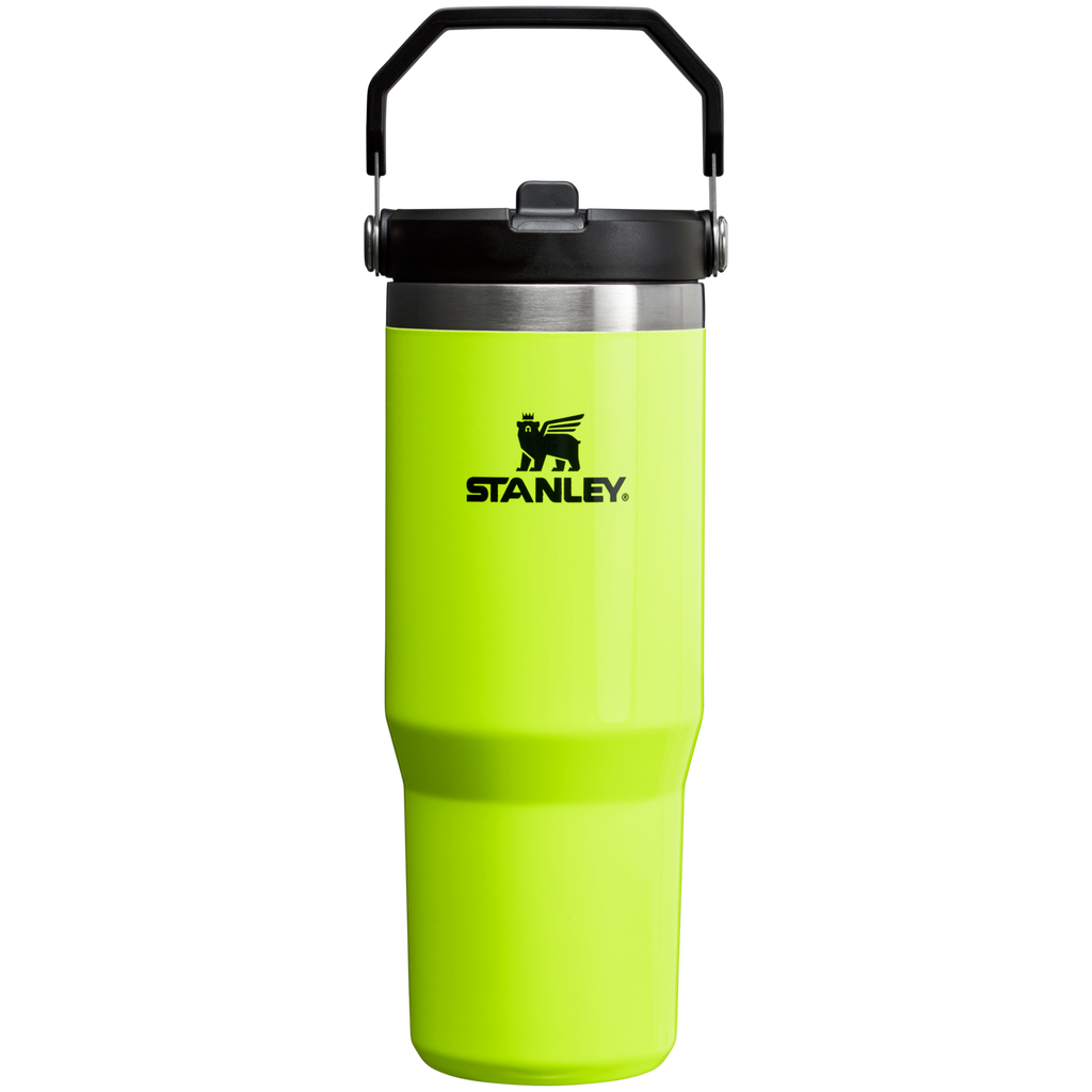 Stanley IceFlow Flip Straw 2.0 Tumbler 30 oz – Insulated Cold Water Bottle with Flip Straw Lid