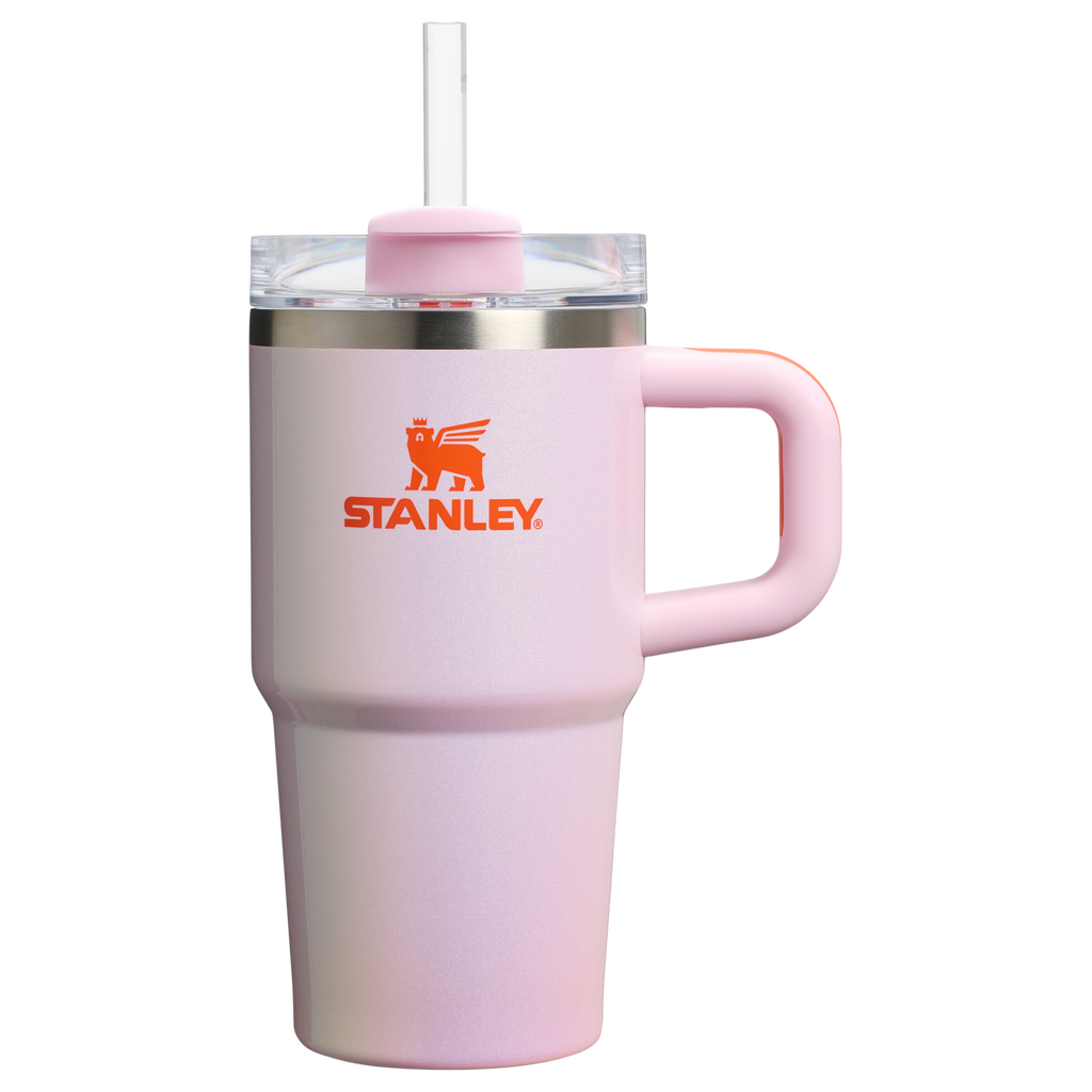 Stanley Quencher H2.0 FlowState Tumbler with Handle 20 oz – Insulated Travel Cup with Straw for Women