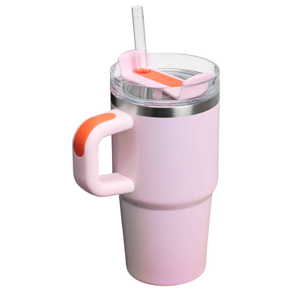 Stanley Quencher H2.0 FlowState Tumbler with Handle 20 oz – Insulated Travel Cup with Straw for Women