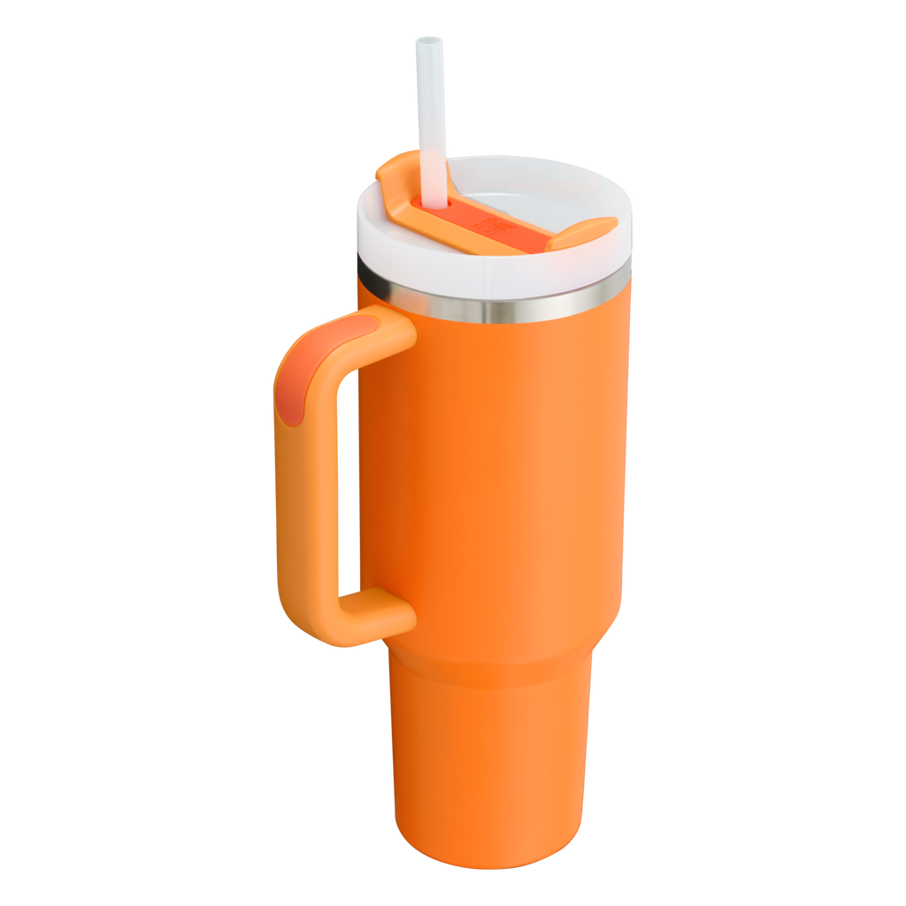 Stanley Quencher H2.0 FlowState Tumbler 40 oz – Large Insulated Tumbler with Straw and Handle for Women