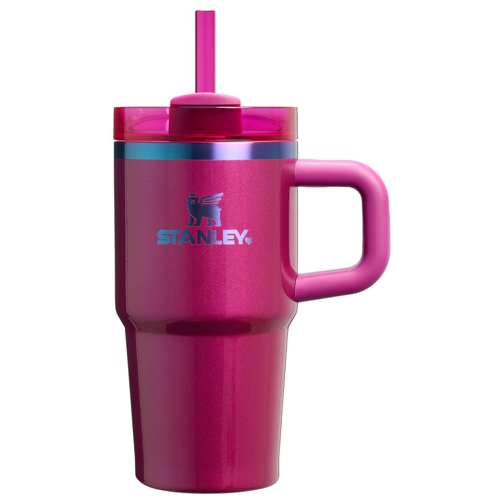 Stanley Quencher H2.0 FlowState Tumbler with Handle 20 oz – Insulated Travel Cup with Straw for Women