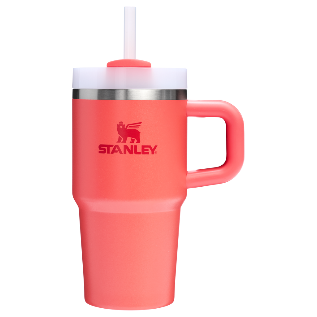 Stanley Quencher H2.0 FlowState Tumbler with Handle 20 oz – Insulated Travel Cup with Straw for Women