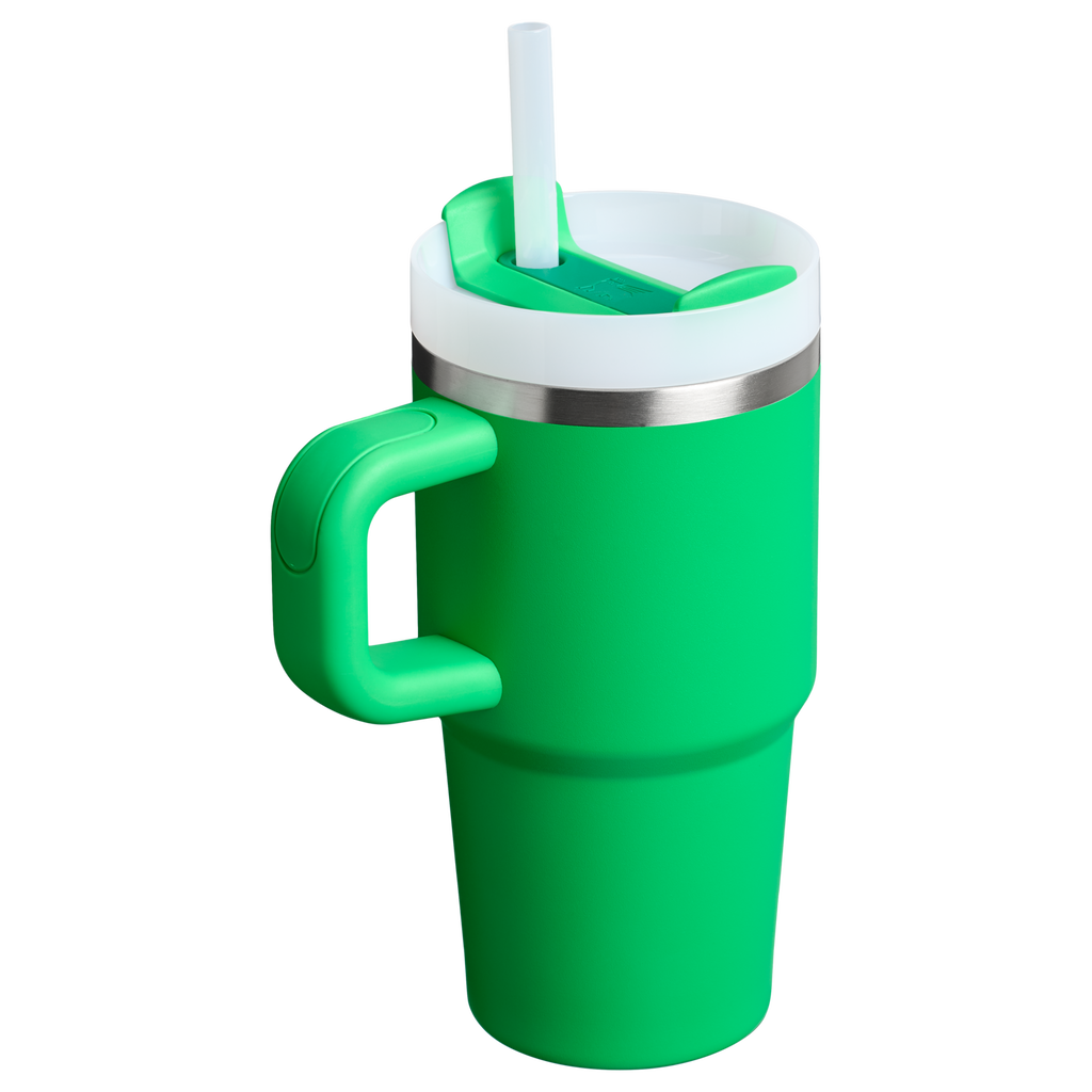 Stanley Quencher H2.0 FlowState Tumbler with Handle 20 oz – Insulated Travel Cup with Straw for Women