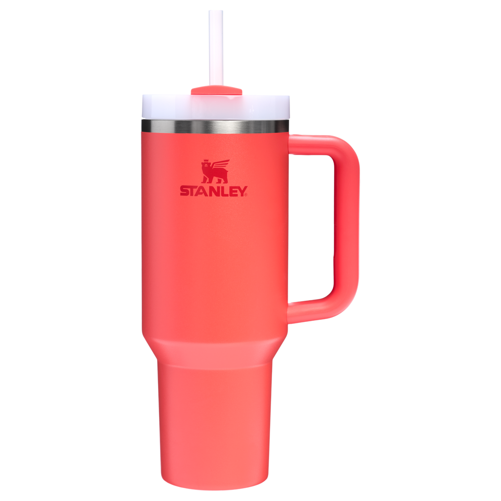 Stanley Quencher H2.0 FlowState Tumbler 40 oz – Large Insulated Tumbler with Straw and Handle for Women