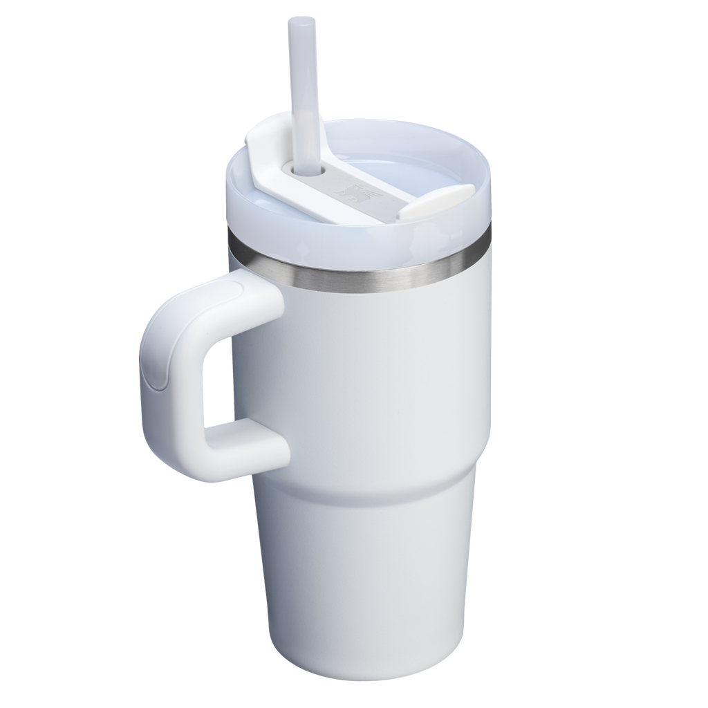Stanley Quencher H2.0 FlowState Tumbler with Handle 20 oz – Insulated Travel Cup with Straw for Women