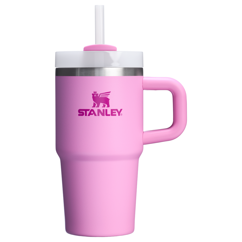 Stanley Quencher H2.0 FlowState Tumbler with Handle 20 oz – Insulated Travel Cup with Straw for Women