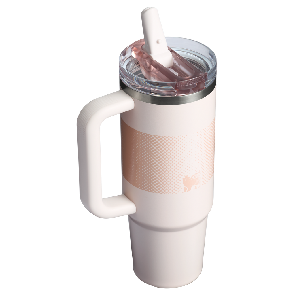 Stanley Quencher ProTour Flip Straw Tumbler 30 oz – Insulated Tumbler Multiple Colors with Leak-Proof Flip Lid