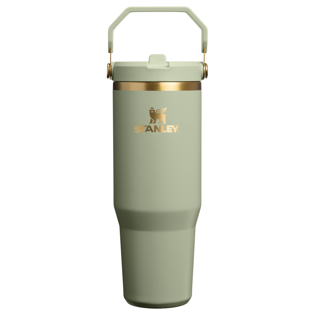 Stanley IceFlow Flip Straw 2.0 Tumbler 30 oz – Insulated Cold Water Bottle with Flip Straw Lid