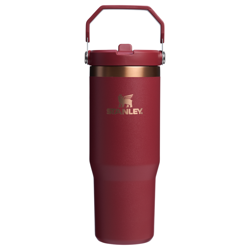 Stanley IceFlow Flip Straw 2.0 Tumbler 30 oz – Insulated Cold Water Bottle with Flip Straw Lid